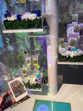 NAKED FLOWERS FOR YOU（ネイキッドフラワーズフォーユー）に投稿された画像（2023/2/20）