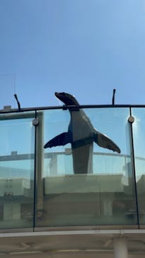 サンシャイン水族館に投稿された画像（2023/2/20）
