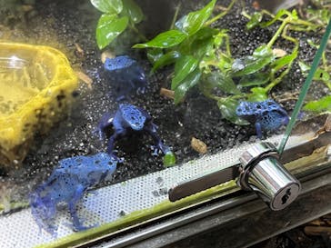 カワスイ 川崎⽔族館に投稿された画像（2023/2/20）