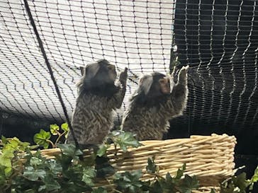 カワスイ 川崎⽔族館に投稿された画像（2023/2/20）