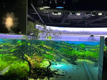 カワスイ 川崎⽔族館に投稿された画像（2023/2/20）