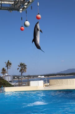 マリンワールド海の中道に投稿された画像（2023/2/20）