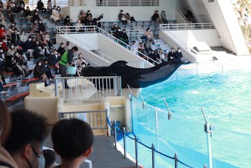 マリンワールド海の中道に投稿された画像（2023/2/20）