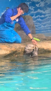 マリンワールド海の中道に投稿された画像（2023/2/20）