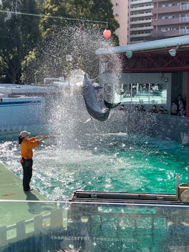 しながわ水族館に投稿された画像（2023/2/20）