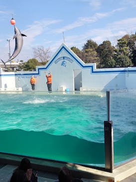 しながわ水族館に投稿された画像（2023/2/20）