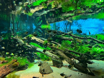 カワスイ 川崎⽔族館に投稿された画像（2023/2/20）