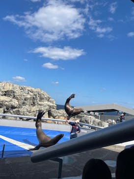 大分マリーンパレス水族館 「うみたまご」に投稿された画像（2023/2/20）