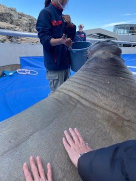 大分マリーンパレス水族館 「うみたまご」に投稿された画像（2023/2/20）