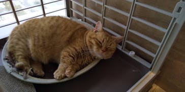 カワスイ 川崎⽔族館に投稿された画像（2023/2/20）