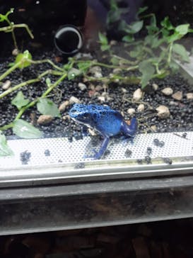 カワスイ 川崎⽔族館に投稿された画像（2023/2/20）