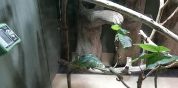 カワスイ 川崎⽔族館に投稿された画像（2023/2/20）