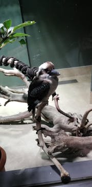 カワスイ 川崎⽔族館に投稿された画像（2023/2/20）