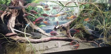 カワスイ 川崎⽔族館に投稿された画像（2023/2/20）