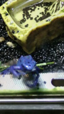 カワスイ 川崎⽔族館に投稿された画像（2023/2/20）