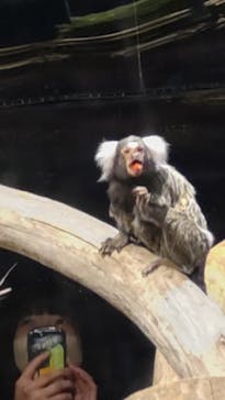 カワスイ 川崎⽔族館に投稿された画像（2023/2/20）