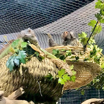 カワスイ 川崎⽔族館に投稿された画像（2023/2/20）