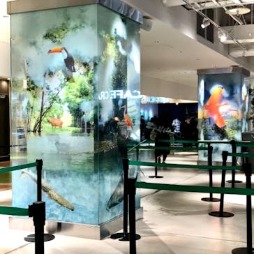 カワスイ 川崎⽔族館に投稿された画像（2023/2/20）