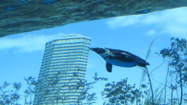 サンシャイン水族館に投稿された画像（2023/2/20）
