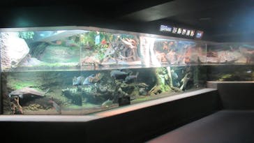 サンシャイン水族館に投稿された画像（2023/2/20）