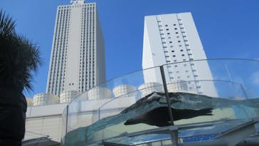 サンシャイン水族館に投稿された画像（2023/2/20）