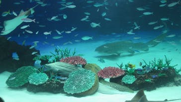 サンシャイン水族館に投稿された画像（2023/2/20）