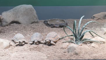 サンシャイン水族館に投稿された画像（2023/2/20）