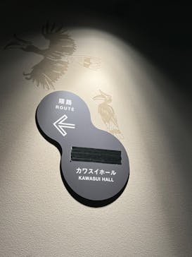 カワスイ 川崎⽔族館に投稿された画像（2023/2/20）