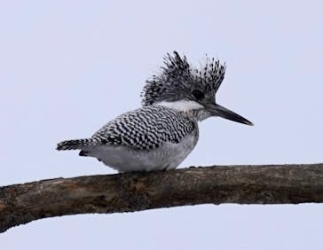 Old Place（オールドプレイス）に投稿された画像（2023/2/20）