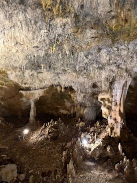 石垣島鍾乳洞に投稿された画像（2023/2/20）