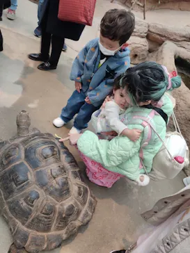 神戸どうぶつ王国に投稿された画像（2023/2/21）