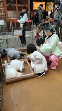 神戸どうぶつ王国に投稿された画像（2023/2/21）