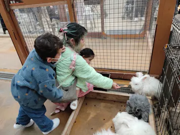 神戸どうぶつ王国に投稿された画像（2023/2/21）