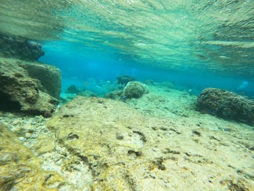 沖縄マリンサービス碧に投稿された画像（2023/2/21）