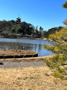 三溪園に投稿された画像（2023/2/21）