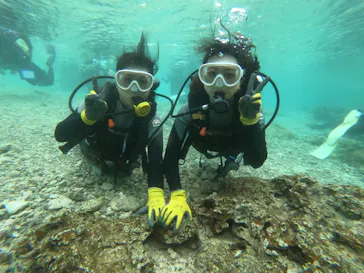 武藤潜水に投稿された画像（2023/2/21）