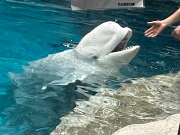 名古屋港水族館に投稿された画像（2023/2/21）