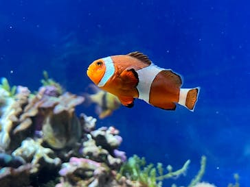 名古屋港水族館に投稿された画像（2023/2/21）