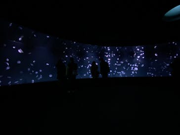 サンシャイン水族館に投稿された画像（2023/2/21）