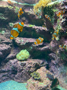 サンシャイン水族館に投稿された画像（2023/2/21）