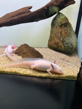 サンシャイン水族館に投稿された画像（2023/2/21）