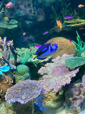 サンシャイン水族館に投稿された画像（2023/2/21）