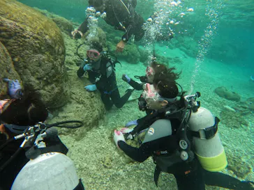 武藤潜水に投稿された画像（2023/2/21）