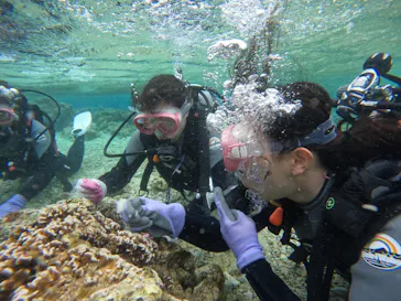 武藤潜水に投稿された画像（2023/2/21）