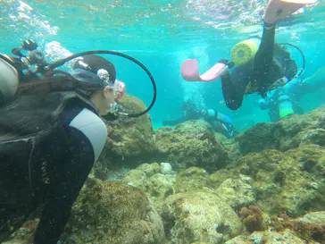 武藤潜水に投稿された画像（2023/2/21）