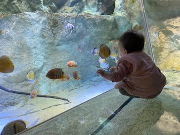 カワスイ 川崎⽔族館に投稿された画像（2023/2/21）