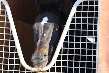 ノーザンホースパークに投稿された画像（2023/2/21）