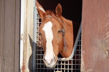 ノーザンホースパークに投稿された画像（2023/2/21）