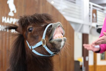 ノーザンホースパークに投稿された画像（2023/2/21）