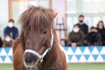 ノーザンホースパークに投稿された画像（2023/2/21）